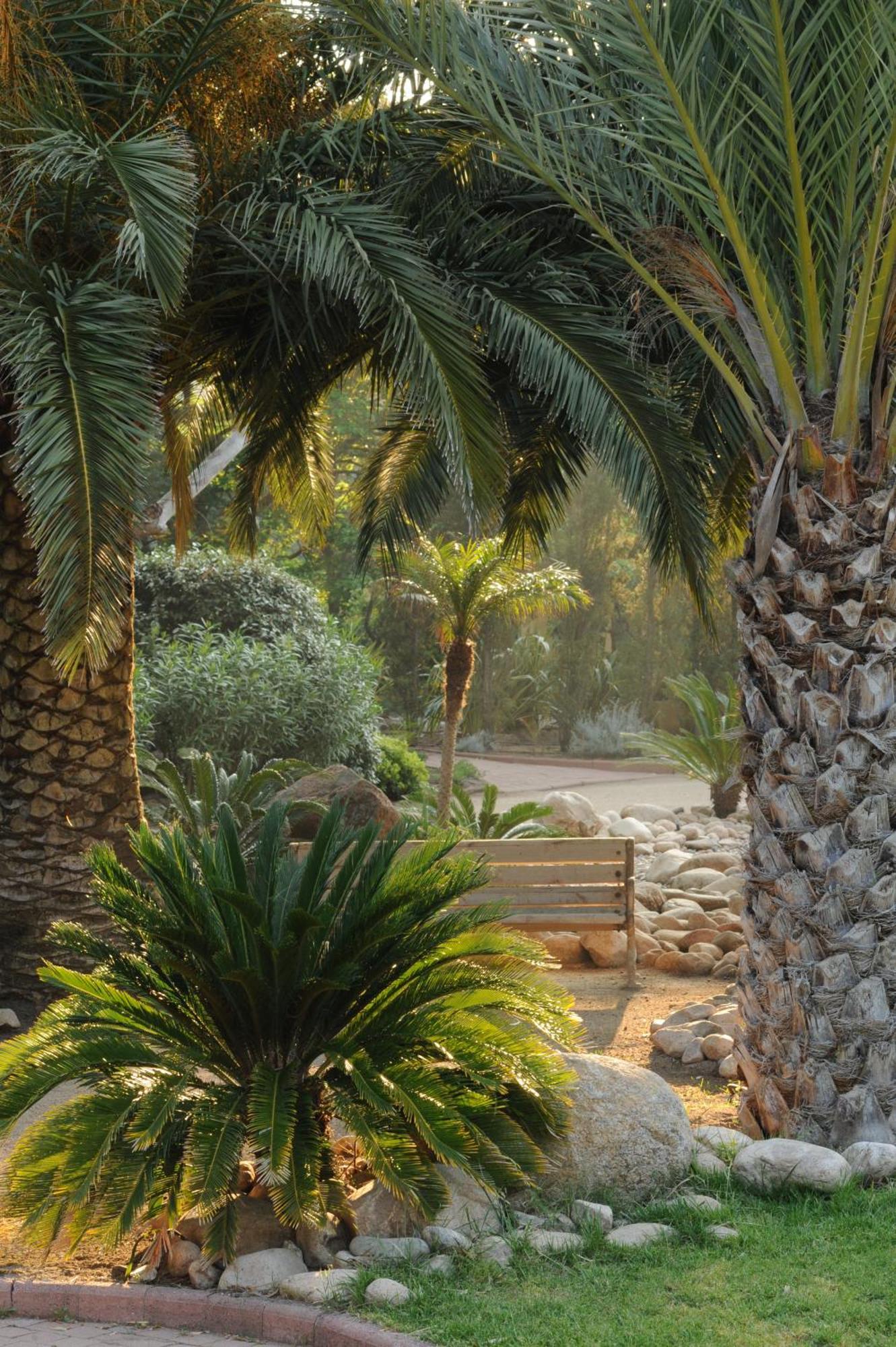 Hotel Le Belvedere Porto-Vecchio  Eksteriør billede